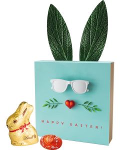 Lindt Präsent Ostern - Kartonage nach Wahl - inkl. Druck