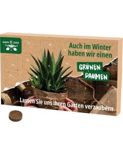 Wachsender Adventskalender Eco XL - 24 Samentütchen und Substrattabletten - inkl. Druck