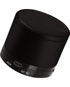 Wireless-Lautsprecher mit Micro SD-Slot und Radio