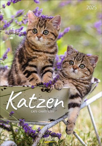 Korsch Kalender Katzen als Werbeartikel