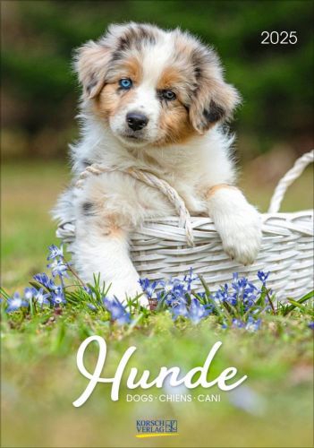 Korsch Kalender Hunde als Werbeartikel