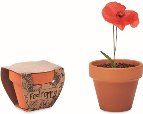 Terracotta-Topf mit Blumensamen als Werbeartikel