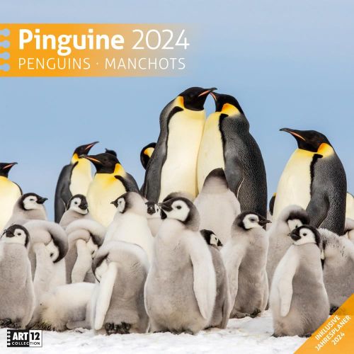 Kalender Pinguine 2024 - 30x30 als Werbeartikel