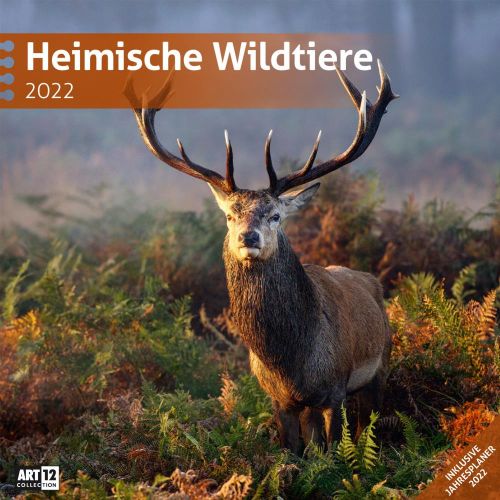 Kalender Heimische Wildtiere 2022 als Werbeartikel