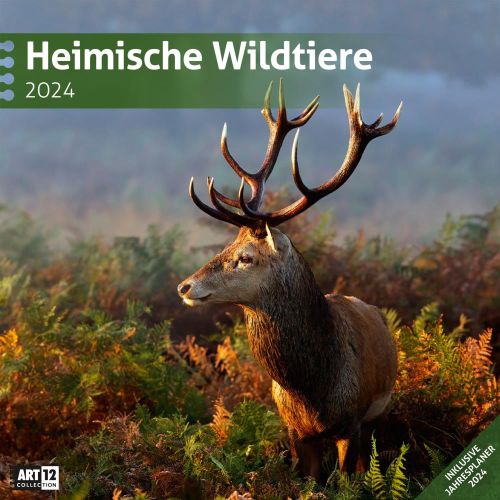 Kalender Heimische Wildtiere 2024 - 30x30 als Werbeartikel