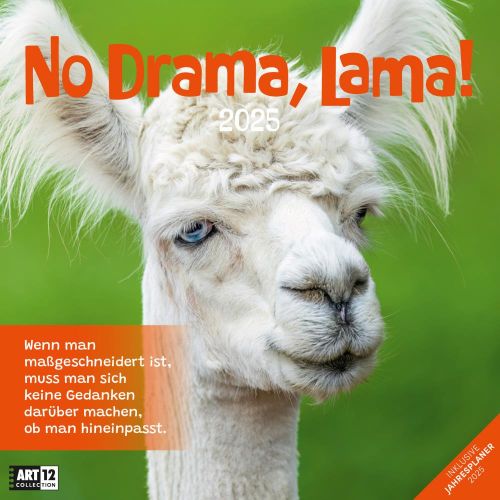 Kalender No Drama, Lama! 2024 - 30x30 als Werbeartikel