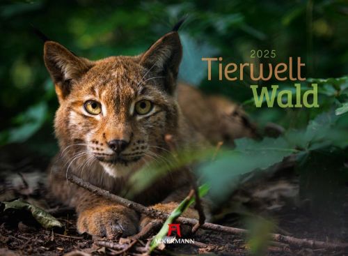 Kalender Tierwelt Wald 2024 als Werbeartikel