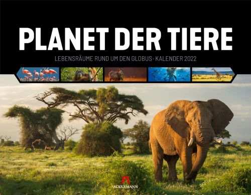 Kalender Planet der Tiere 2022 als Werbeartikel