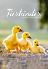 Korsch Kalender Tierkinder als Werbeartikel