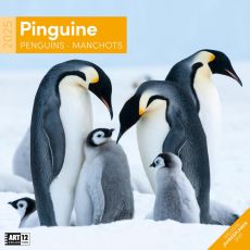 Kalender Pinguine 2024 - 30x30 als Werbeartikel