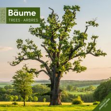 Kalender Bäume 2024 - 30x30 als Werbeartikel