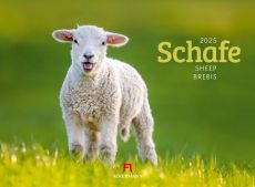 Kalender Schafe 2024 als Werbeartikel