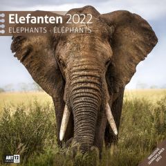 Kalender Elefanten 2022 als Werbeartikel