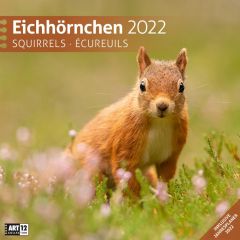 Kalender Eichhörnchen 2022 als Werbeartikel